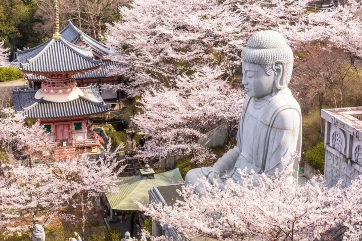 des-asia